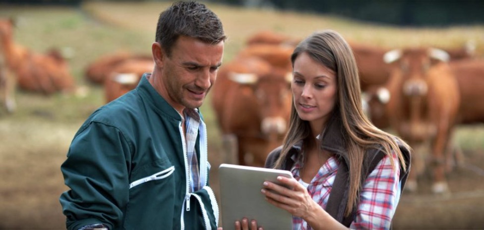 Pair looking at Tablet
