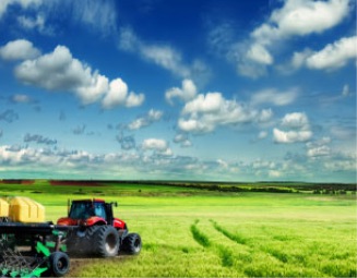 Tractor in Field