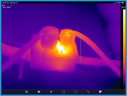 Thermal Camera Picture